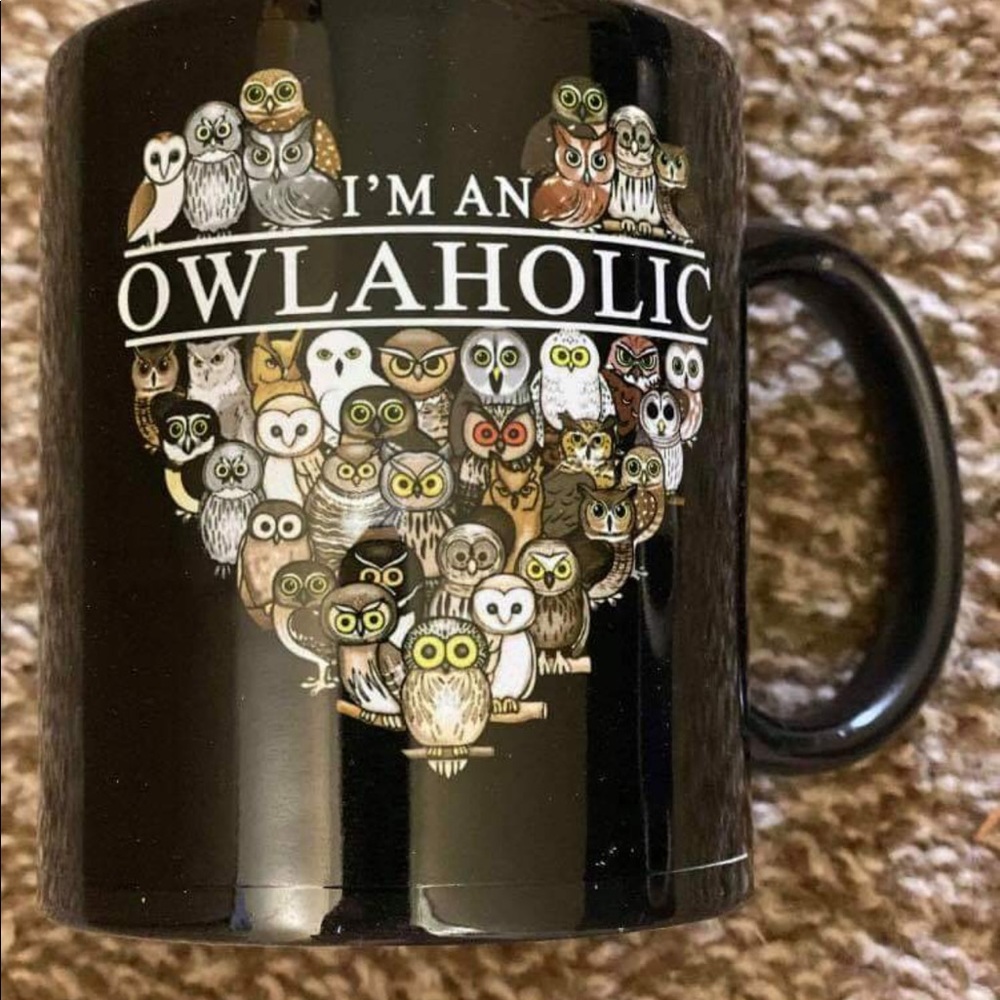 Owlholic 11oz Mug